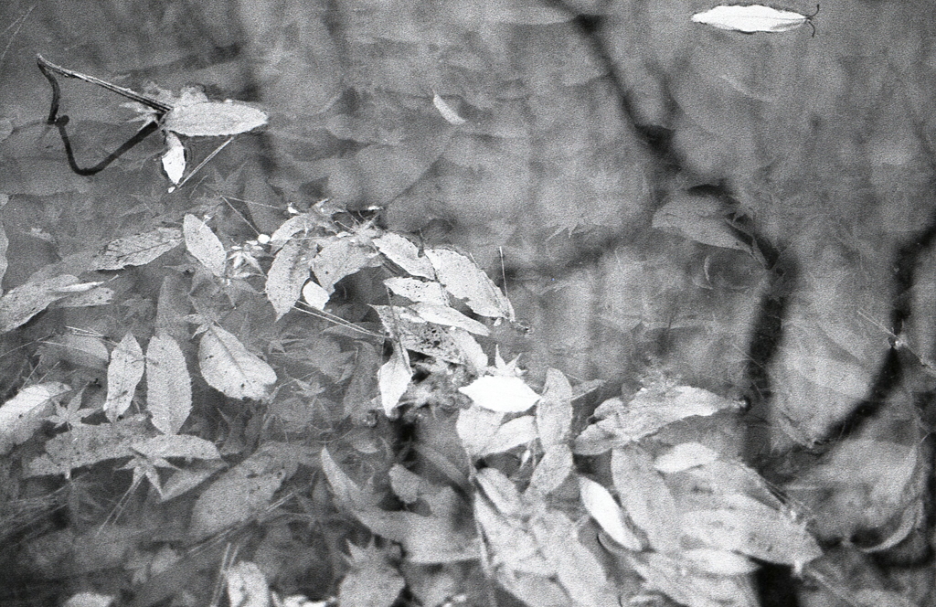 ＩＳＯ２００でのFoma RETROPAN320