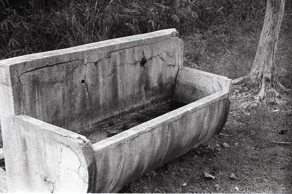 蛇口の無い遺物