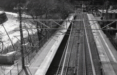 線路とホームと玉野川