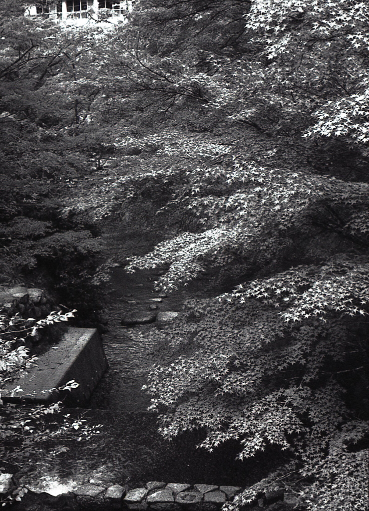 幾重にも重なる紅葉かな