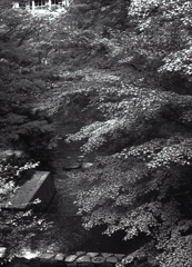 幾重にも重なる紅葉かな