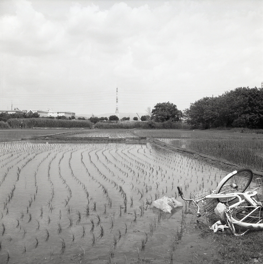 倒れた自転車　～水無月の自転車散歩