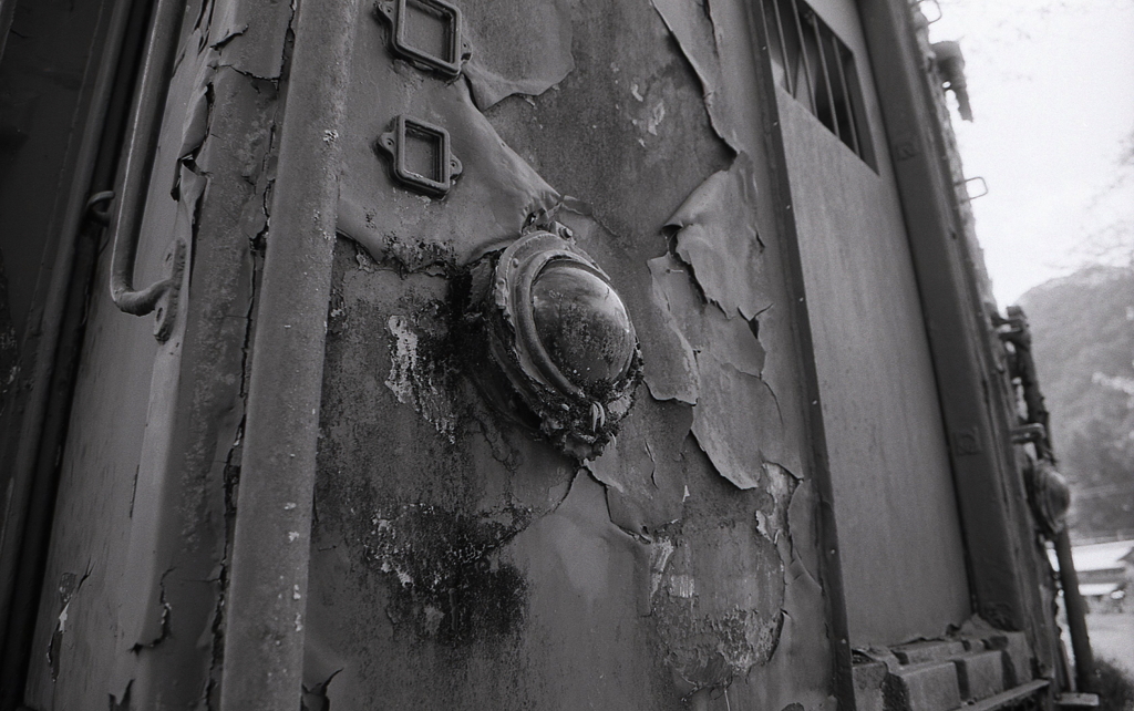 まん丸目玉の哀愁