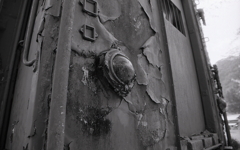 まん丸目玉の哀愁