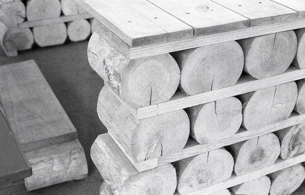 ＩＳＯ１００でのFoma RETROPAN320