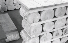 ＩＳＯ１００でのFoma RETROPAN320