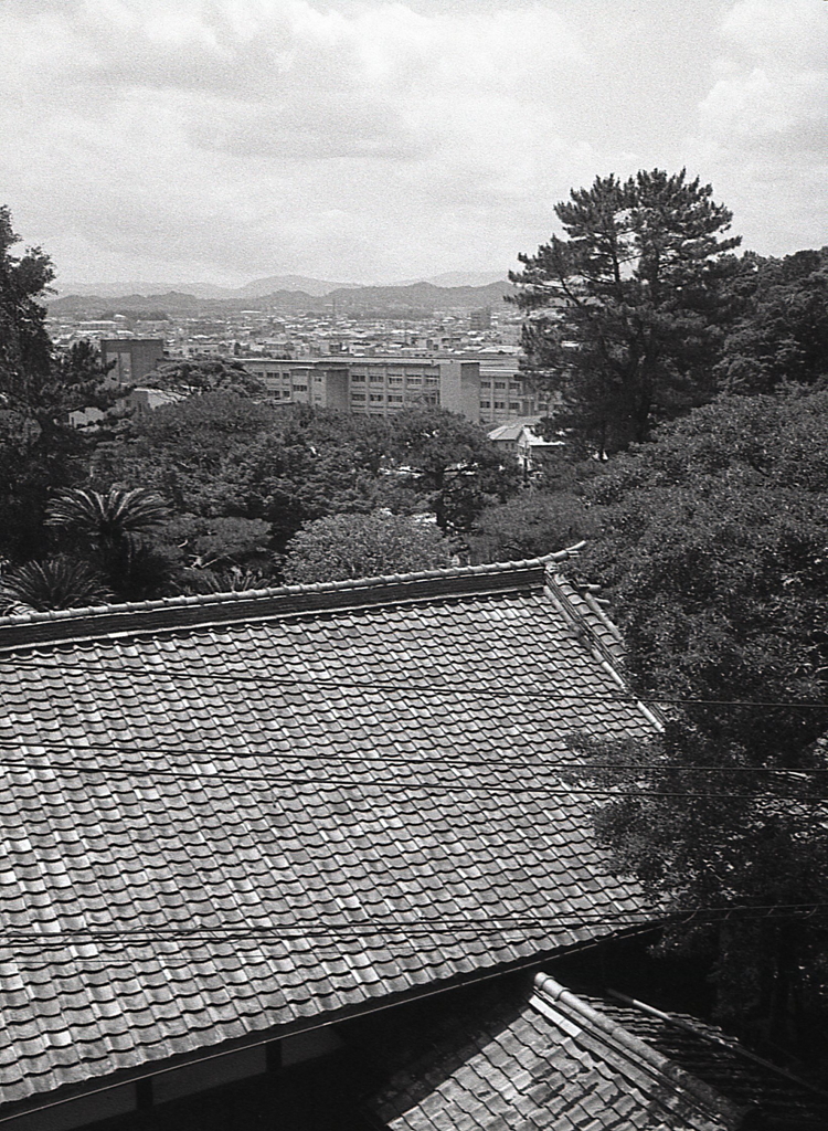 親父の松工が見えた。（笑