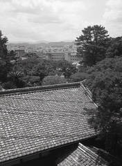 親父の松工が見えた。（笑