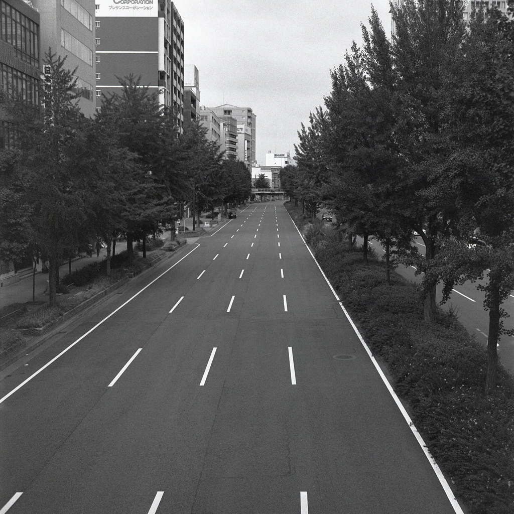 午後二時の桜通りの四車線