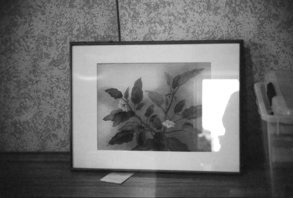 引き揚げた水墨画