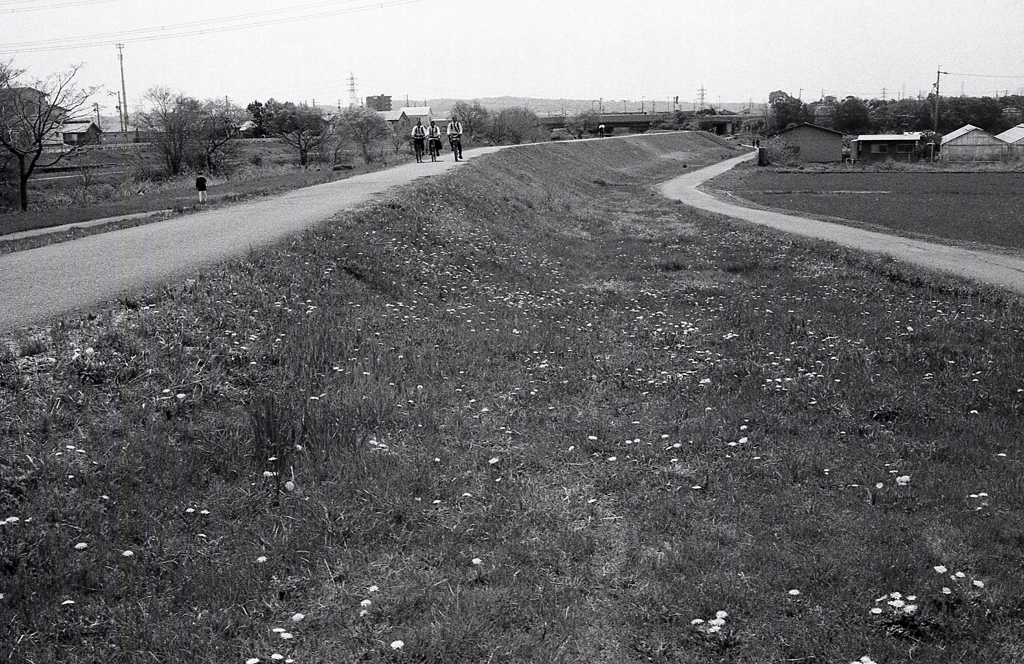 昨日のひとり歩け歩け大会は…