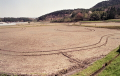 これも田圃アート？（笑