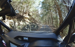 はて？私しゃポツンと一軒家へ？？？