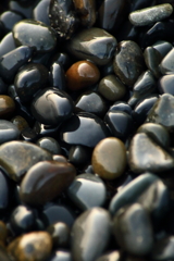 碁石に例えられる浜石