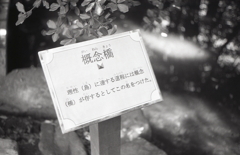 概念橋　～東京モノクロ