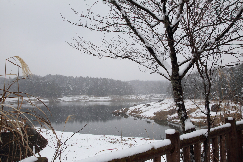 雪の松野湖