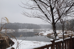 雪の松野湖 雪の松野湖