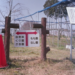 もも、くり、三年かき八年。なしは…? もも、くり、三年かき八年。なしは…?