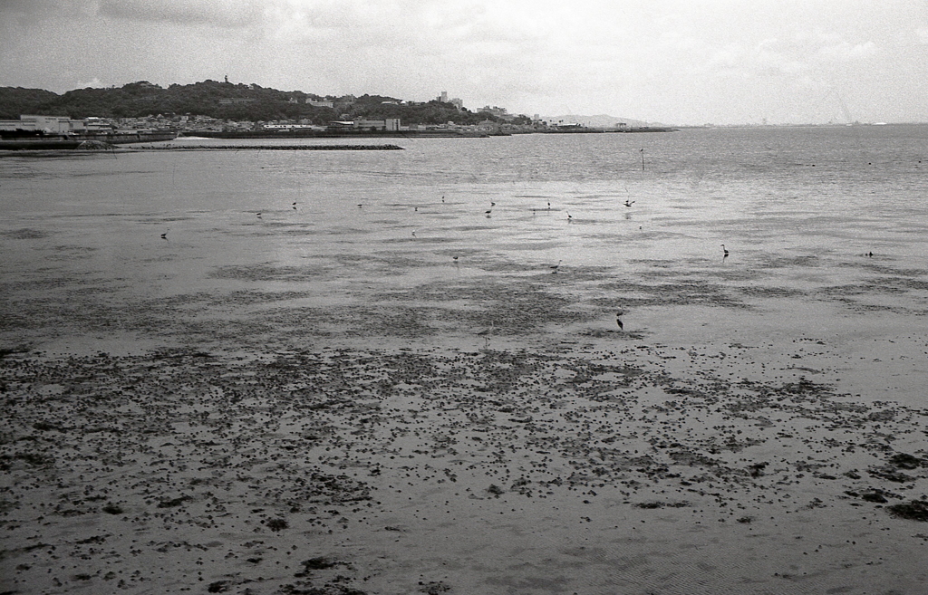 豊橋方面の浜辺