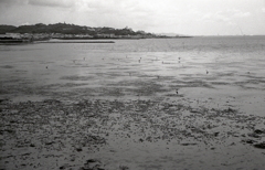 豊橋方面の浜辺