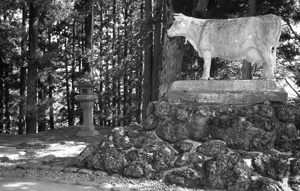 真楽寺の牛像