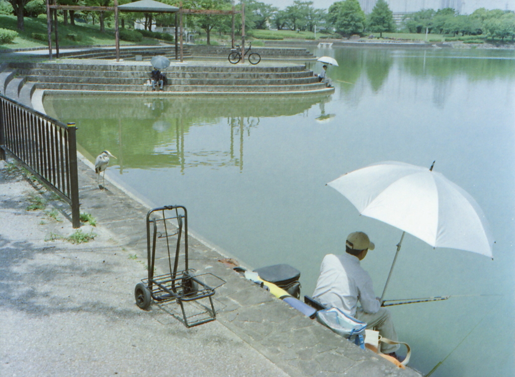 釣り人と鷺
