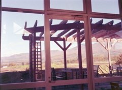 店内から何気にショット