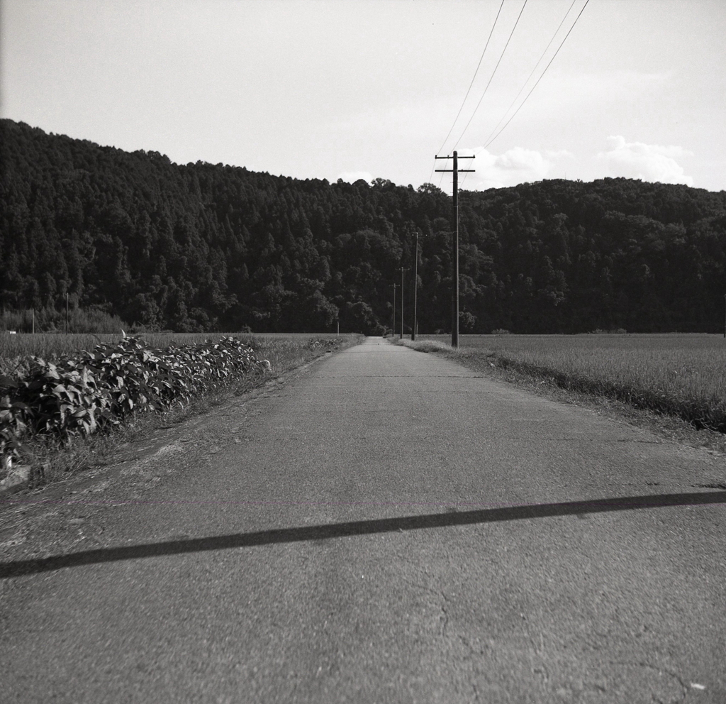 やっぱ田舎の空気だべ！ by ある男の写真日記 （ID：12007906） - 写真共有サイト:PHOTOHITO