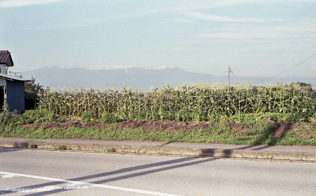 フィールド・オブ・ドリームス