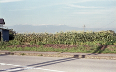 フィールド・オブ・ドリームス