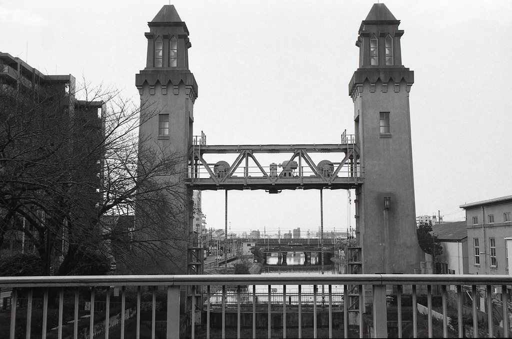 広角が欲しかったね。（苦笑