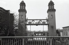 広角が欲しかったね。（苦笑