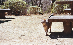 ちょっとあんたさぁナニ撮ってんの！