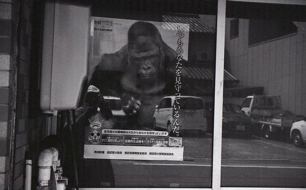 いつもあなたを見守っているんだ。