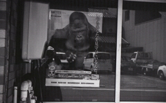 いつもあなたを見守っているんだ。