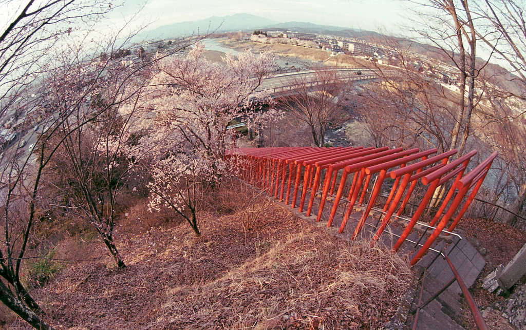 佐久を見渡す稲荷山