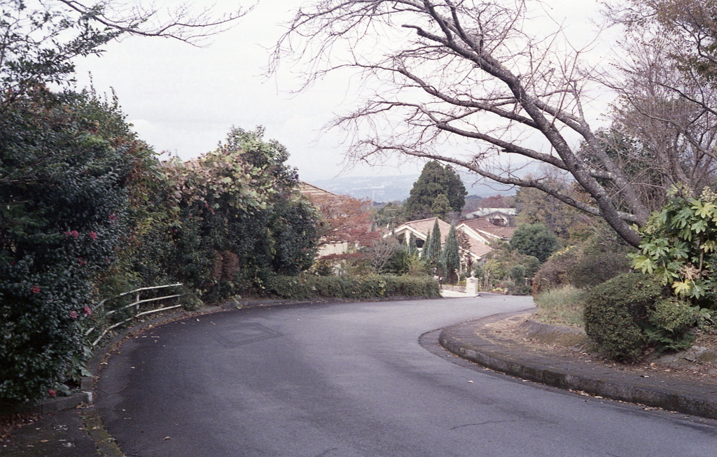 結構家々があるようです。