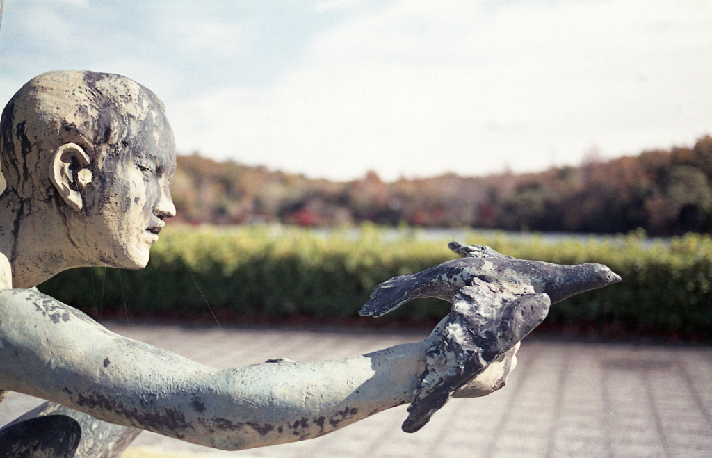 俺の思いと空に飛べ！