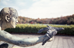 俺の思いと空に飛べ！