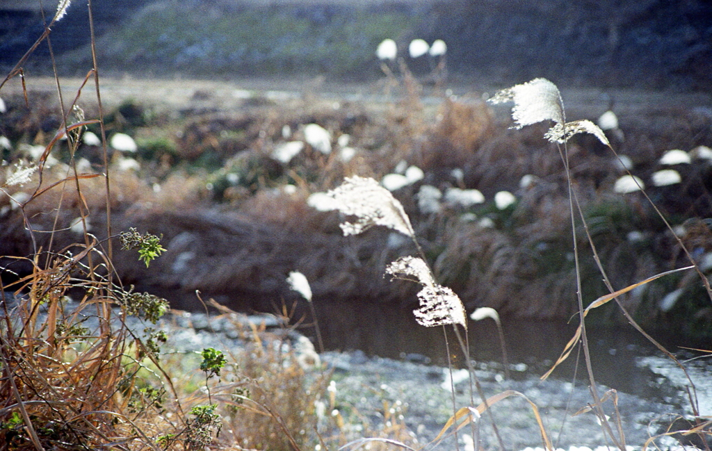 夏が過ぎ、そして秋から冬に故人を偲ぶ