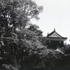 岡崎城天守