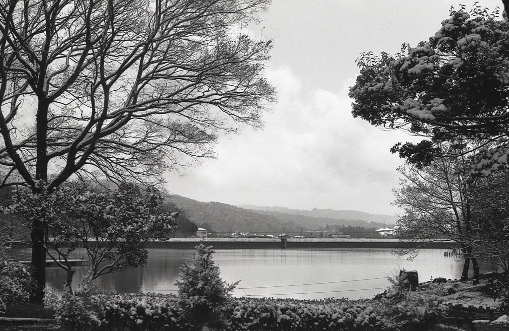 短き雪の命かな