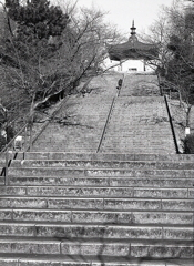 平和堂への長い石段