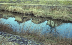 水面の家々