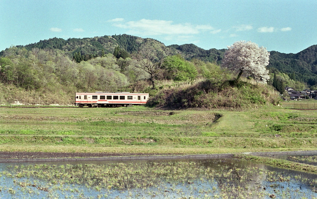 春の桜に走る電車　～鉄道のある風景