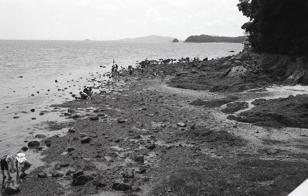 賑わう竹島の磯