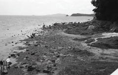 賑わう竹島の磯