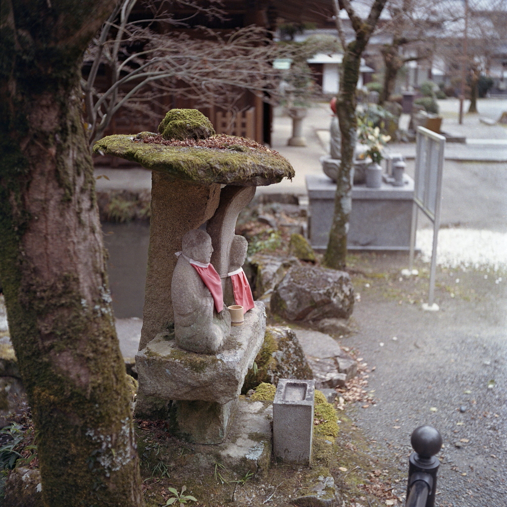 苔生す石傘の地蔵様Ⅱ