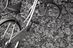 埋もれる自転車Ⅱ