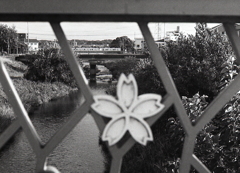 橋ベンチから見えるJR